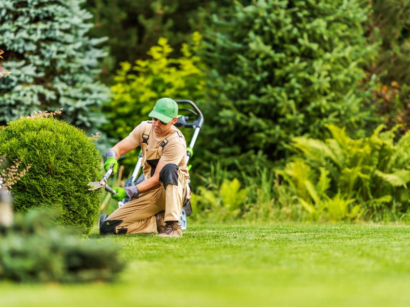 Entretien de Jardin à Vendôme